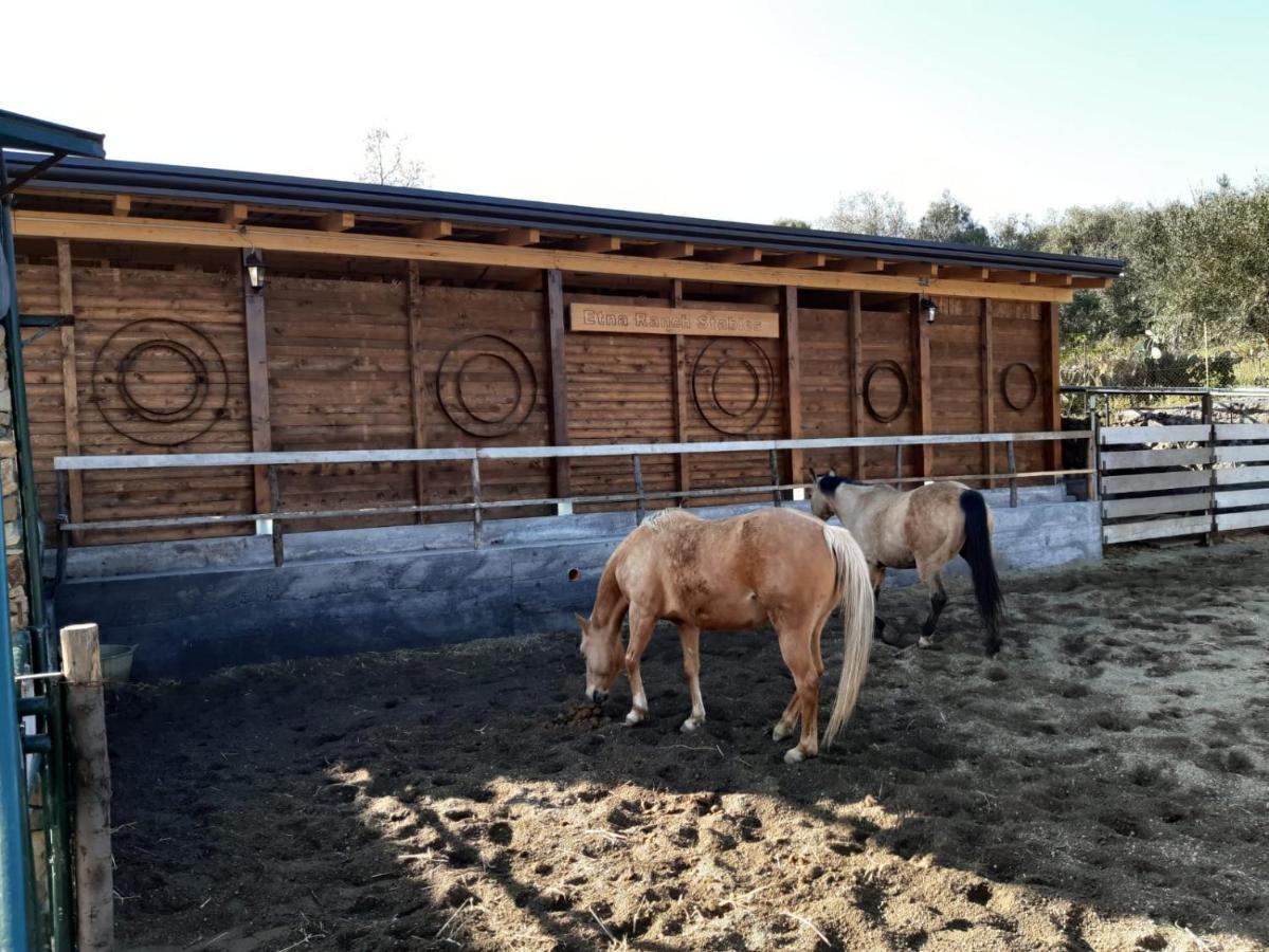 B&B Etna Ranch Piedimonte Etneo Luaran gambar