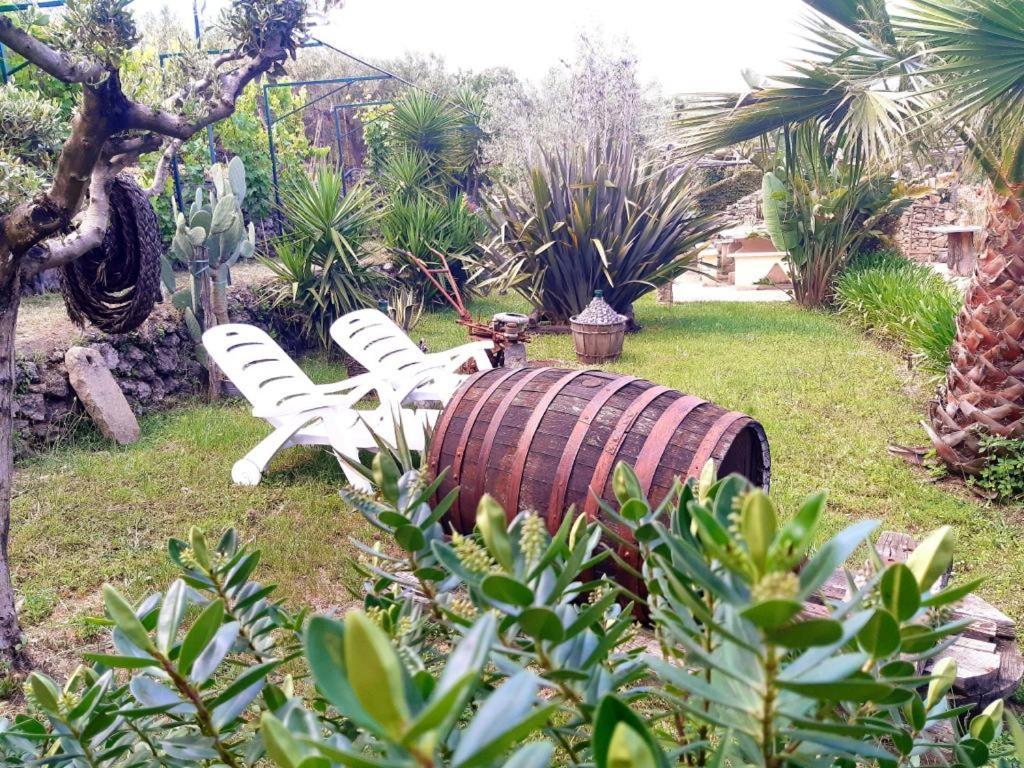 B&B Etna Ranch Piedimonte Etneo Luaran gambar