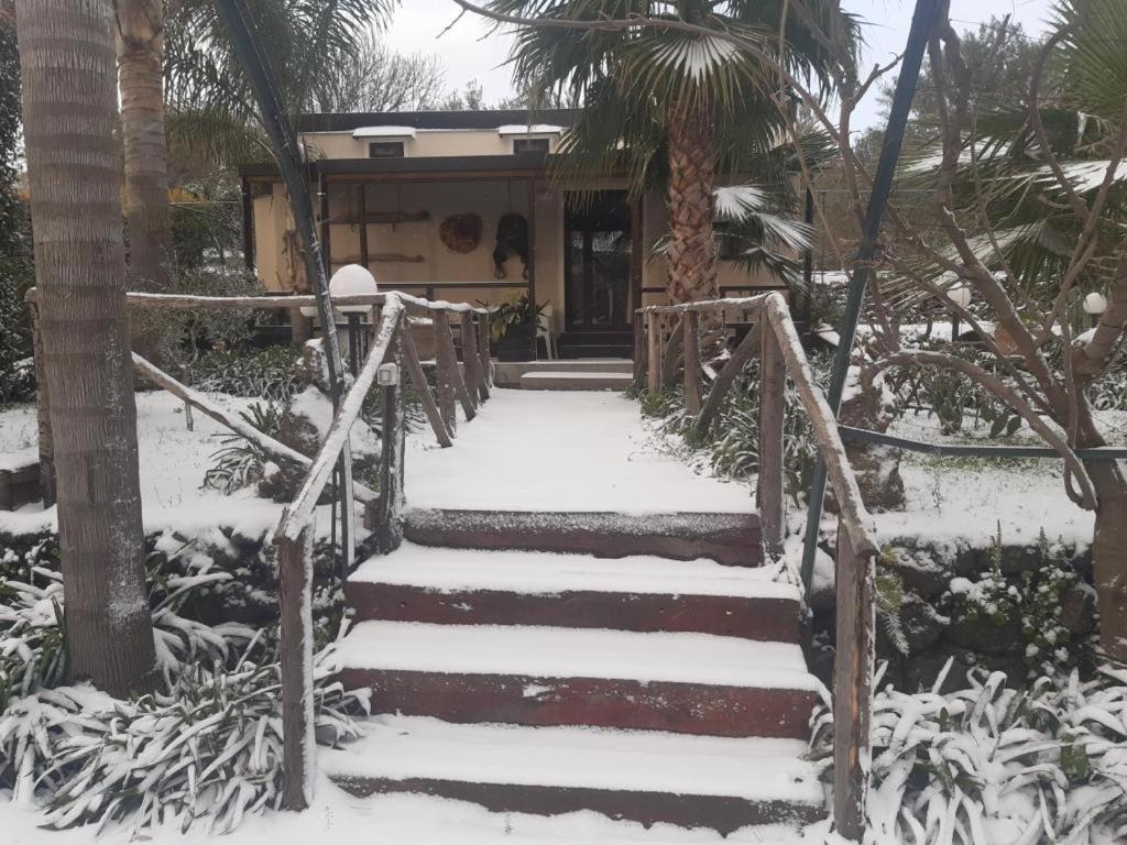 B&B Etna Ranch Piedimonte Etneo Luaran gambar