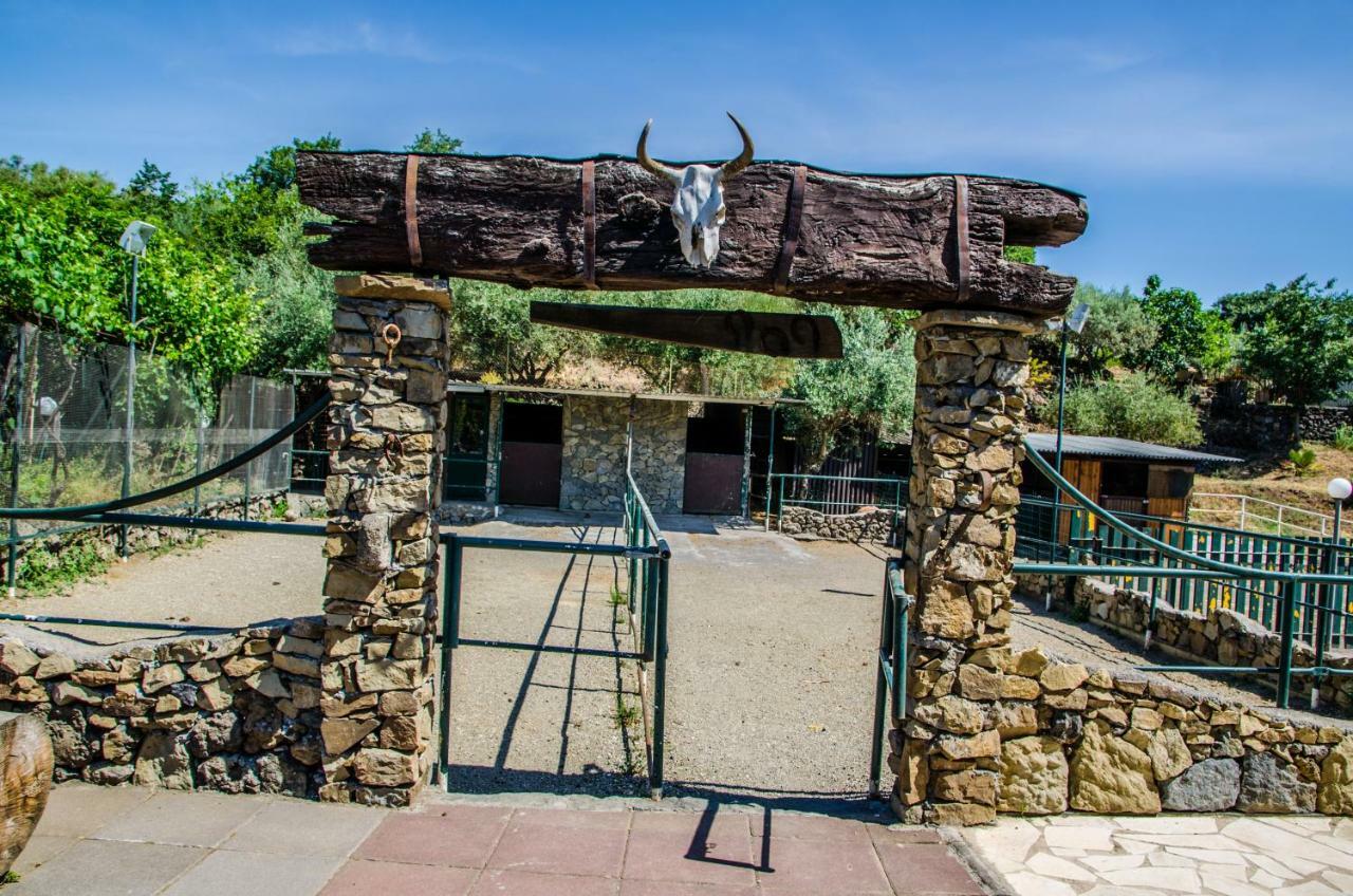 B&B Etna Ranch Piedimonte Etneo Luaran gambar