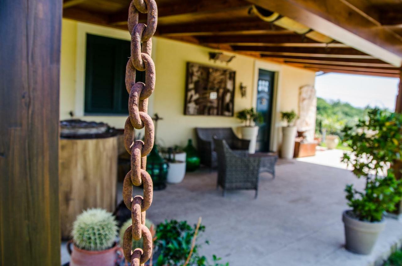 B&B Etna Ranch Piedimonte Etneo Luaran gambar