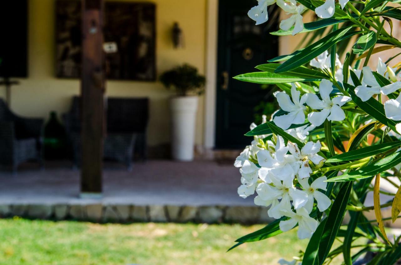 B&B Etna Ranch Piedimonte Etneo Luaran gambar